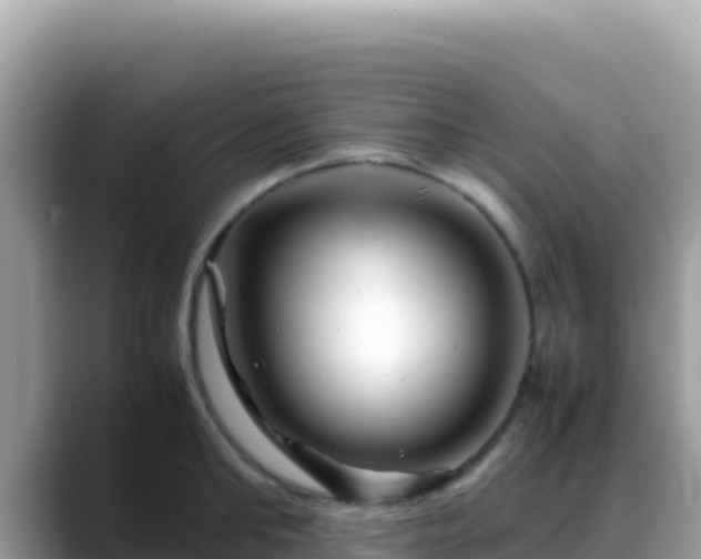 X0000088720902200706071617
