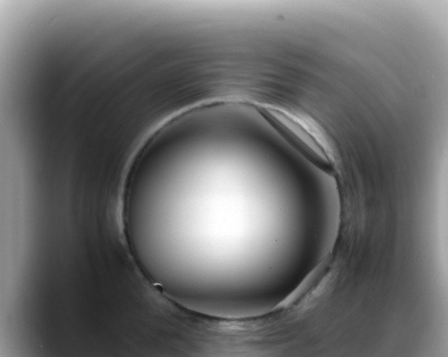 X0000088720904200706071617
