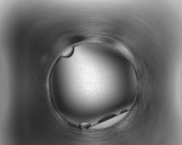 X0000088720907200706071617