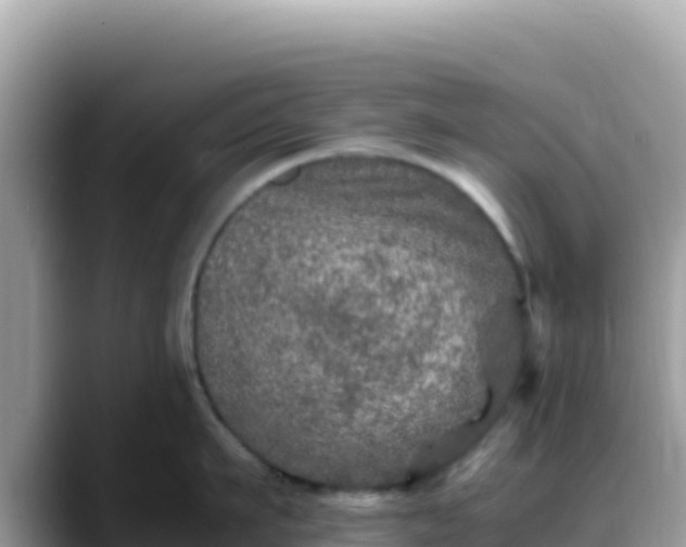 X0000088720911200706071617
