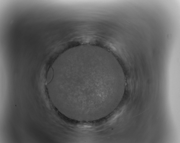 X0000088720913200706071616