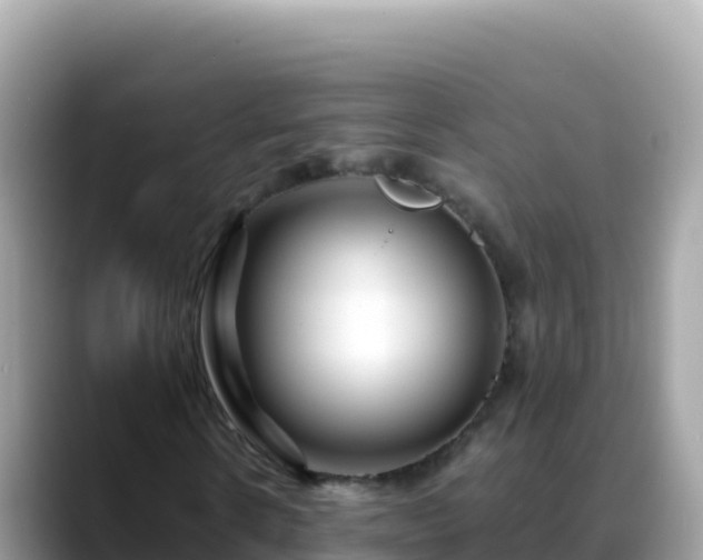 X0000088720914200706071617