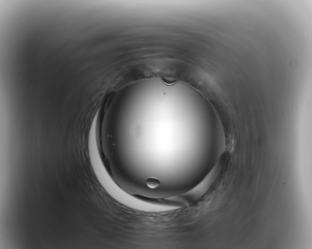 X0000088720915200706071617