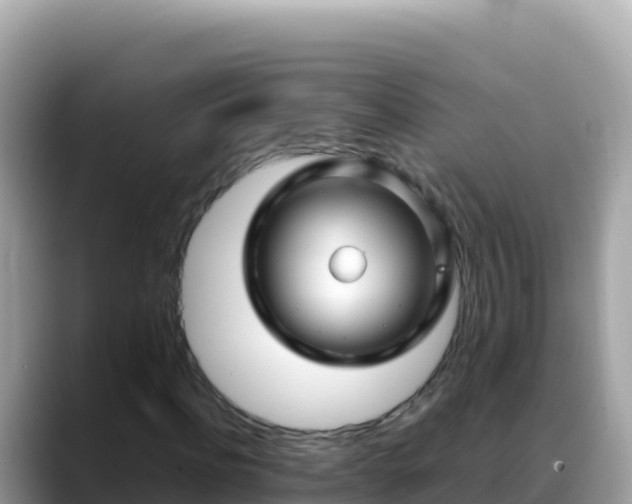 X0000088720916200706071617