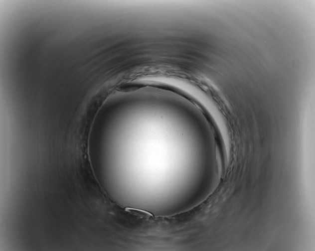 X0000088720919200706071617