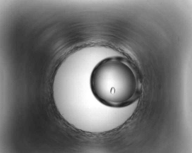 X0000088720920200706071617