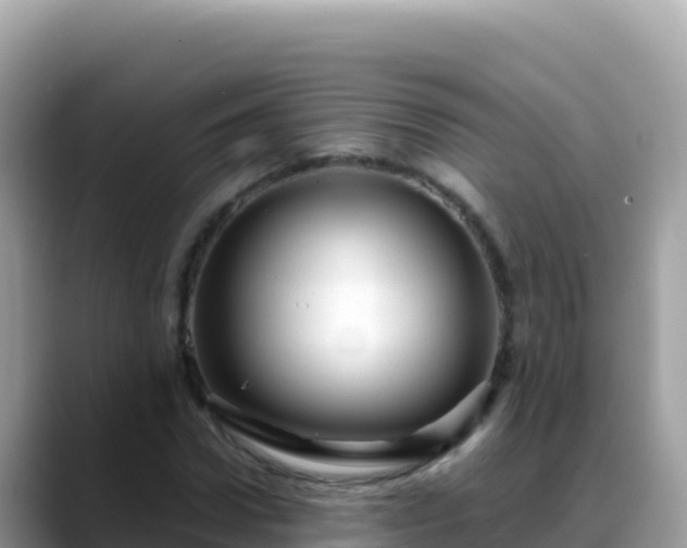 X0000088720922200706071617