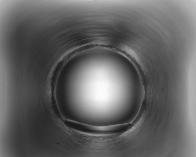 X0000088720923200706071617