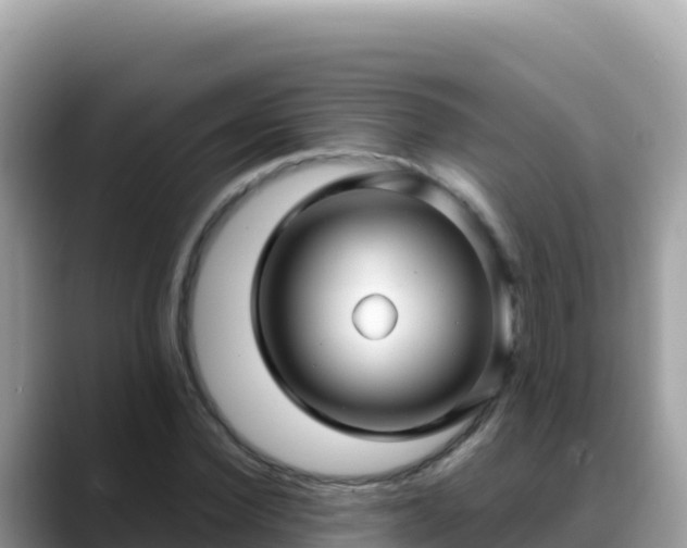 X0000088720924200706071617