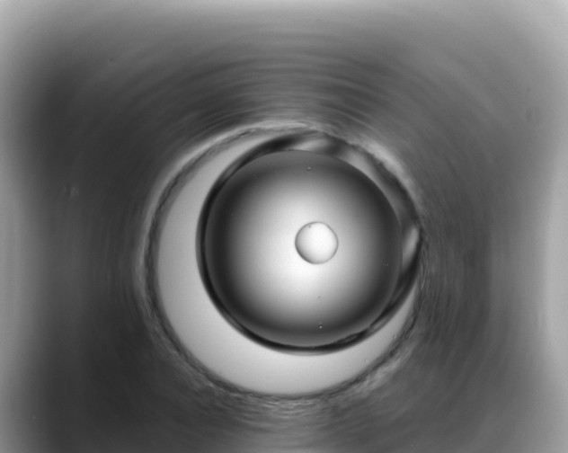 X0000088720928200706071617