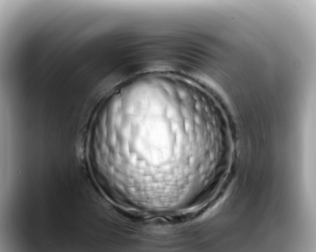 X0000088720929200706071617