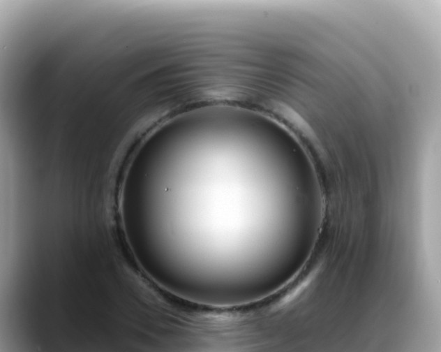X0000088720930200706071617