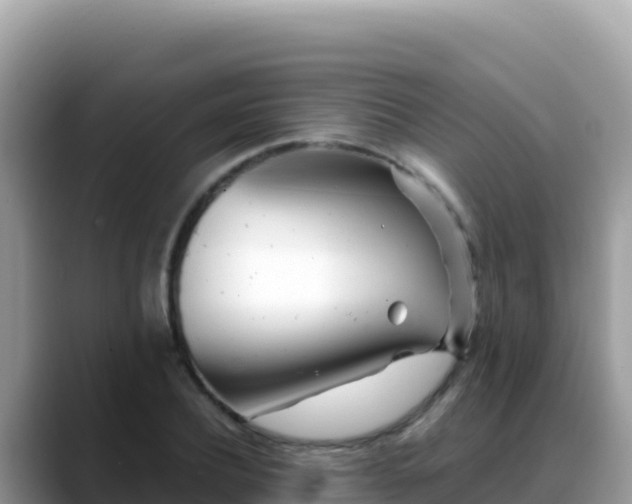 X0000088720932200706071617