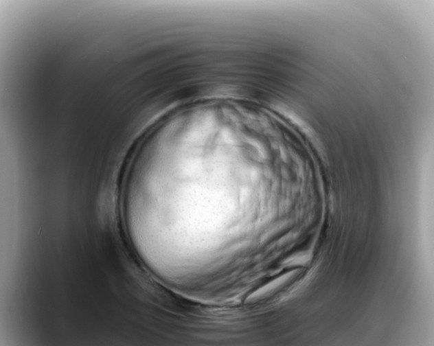 X0000088720933200706071617