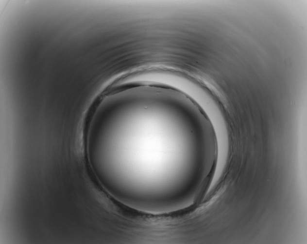 X0000088720934200706071617
