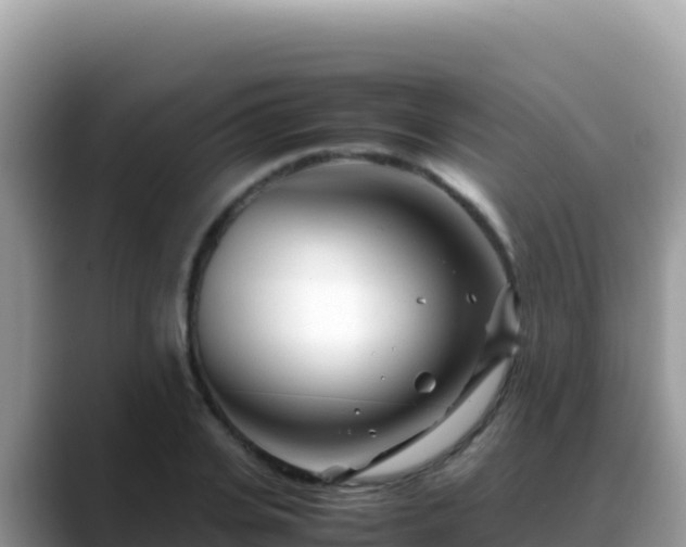 X0000088720935200706071617