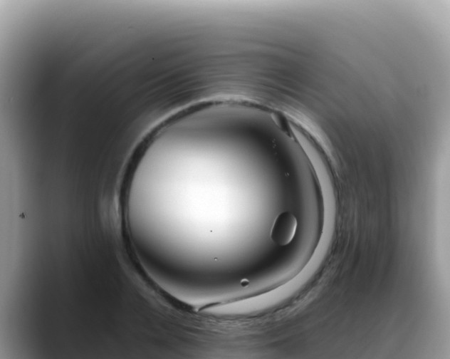 X0000088720936200706071617