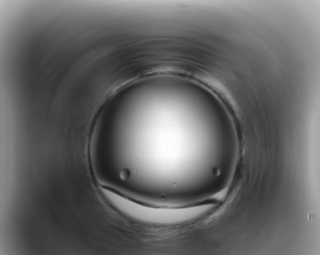 X0000088720937200706071617