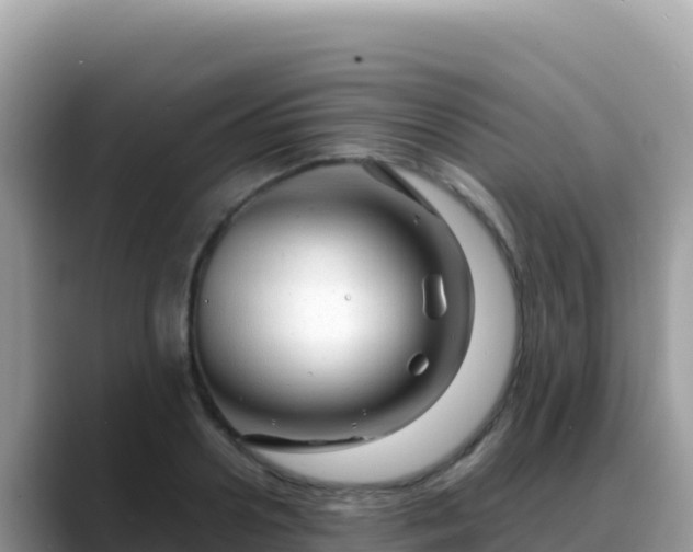X0000088720938200706071617