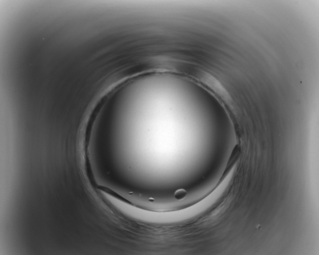 X0000088720939200706071617