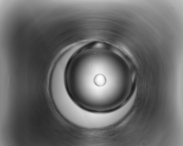 X0000088720940200706071617