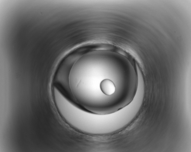 X0000088720944200706071617