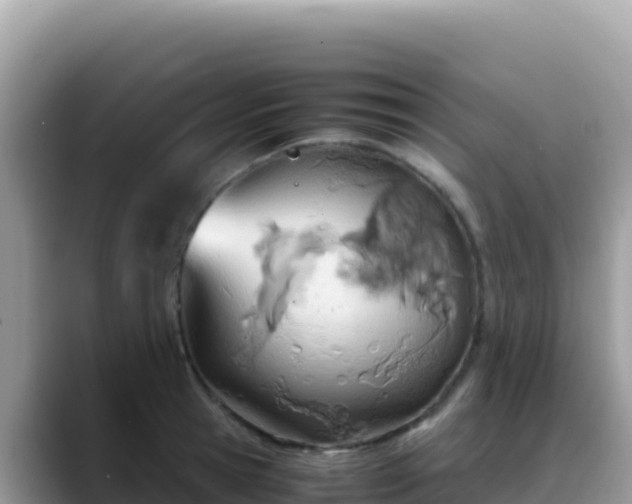 X0000088720945200706071617