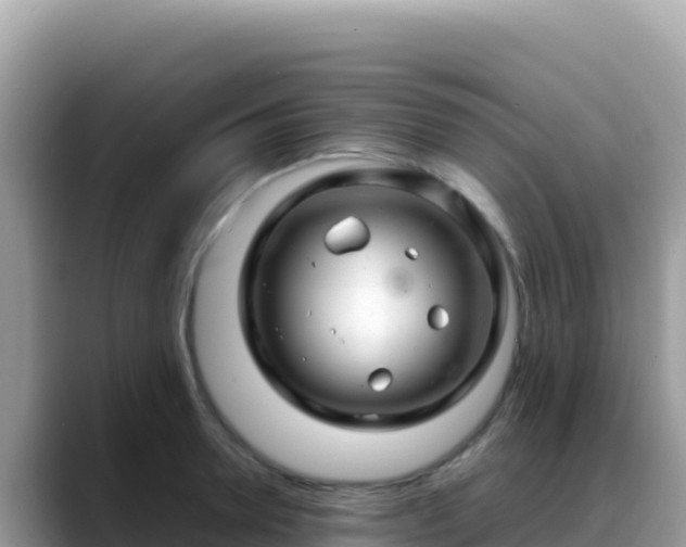 X0000088720946200706071617