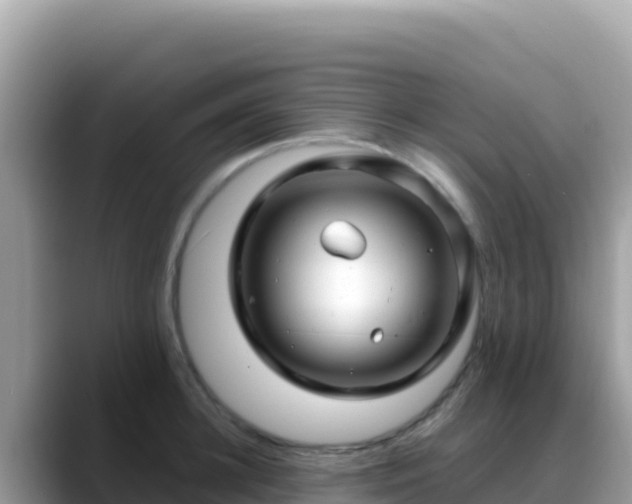 X0000088720948200706071617