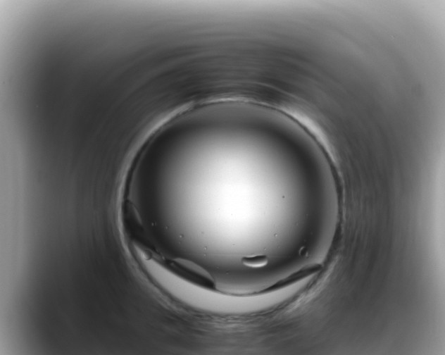 X0000088720949200706071617