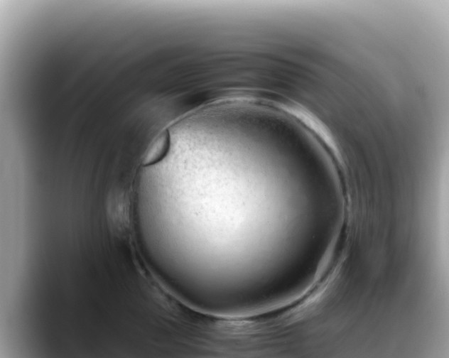 X0000088720953200706071617