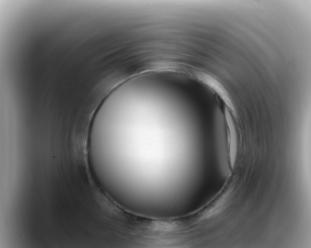 X0000088720954200706071617