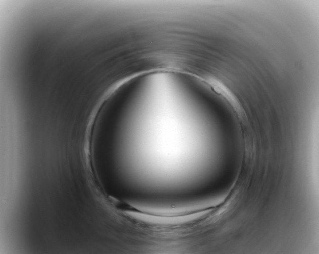X0000088720956200706071617