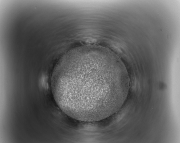 X0000088720962200706071616