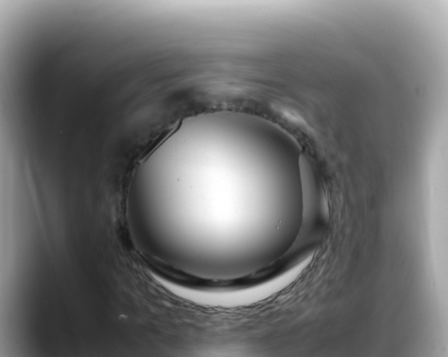 X0000088720965200706071616