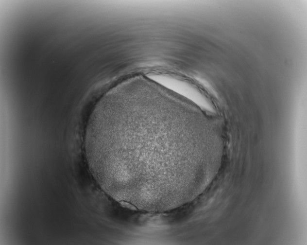 X0000088720967200706071616