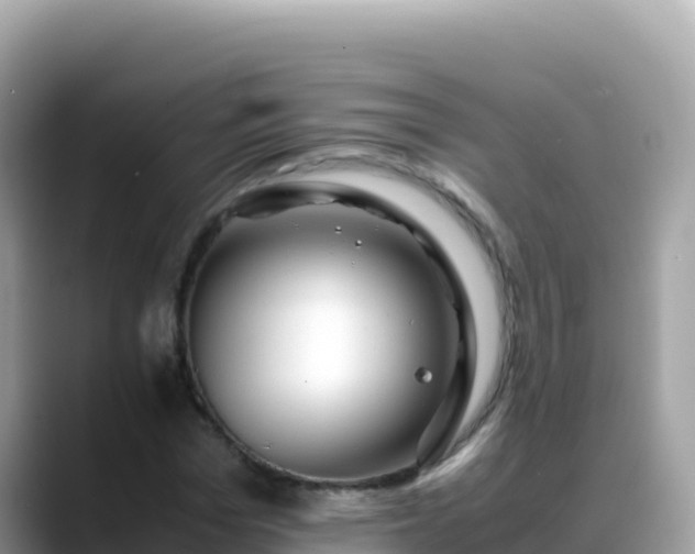 X0000088720969200706071616