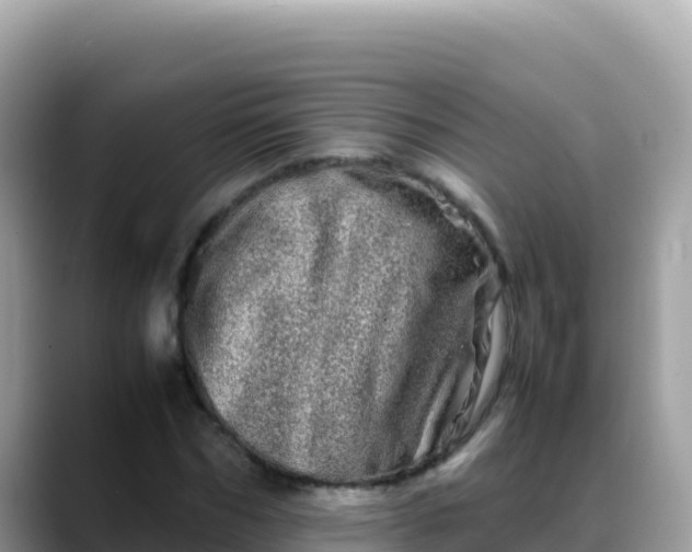 X0000088720970200706071616