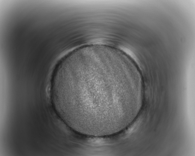 X0000088720971200706071616
