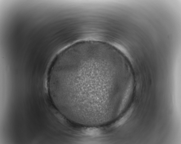 X0000088720974200706071616