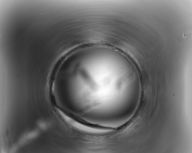 X0000088720975200706071616