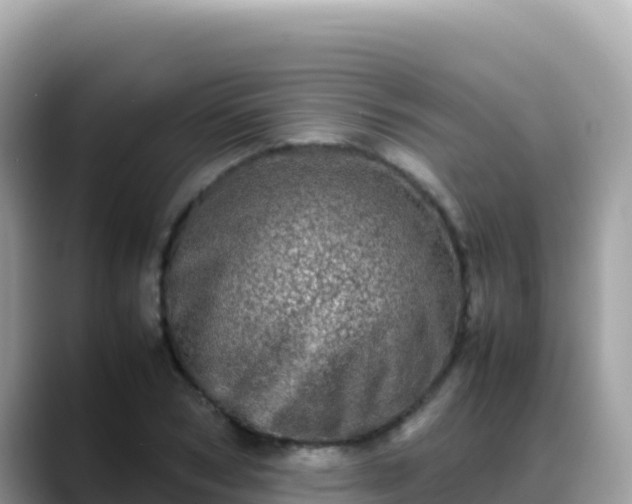 X0000088720978200706071616