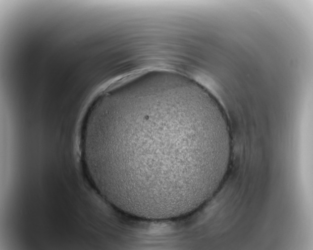 X0000088720979200706071616