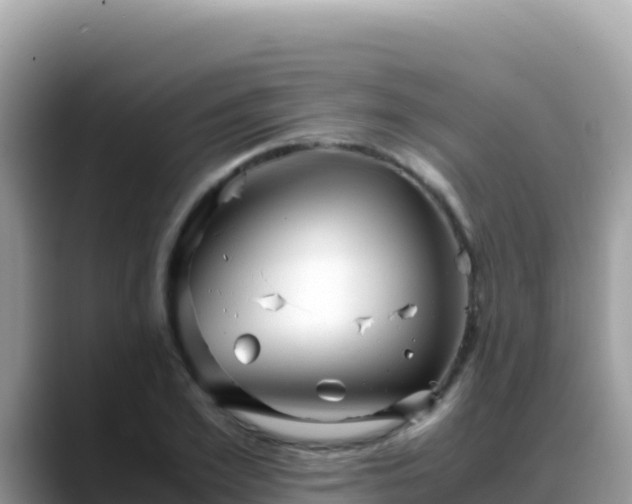 X0000088720981200706071616