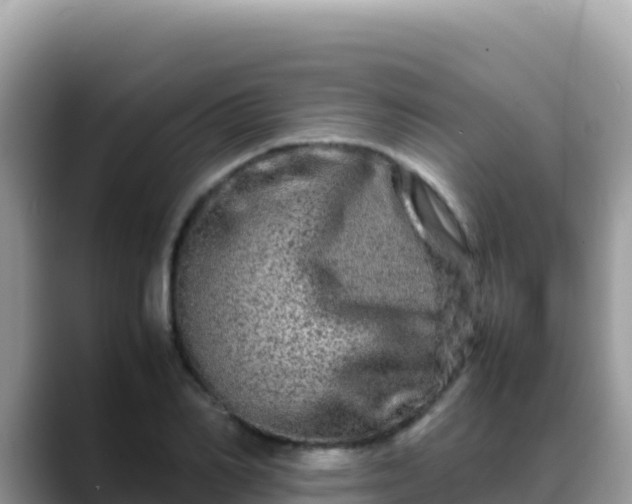 X0000088720982200706071616