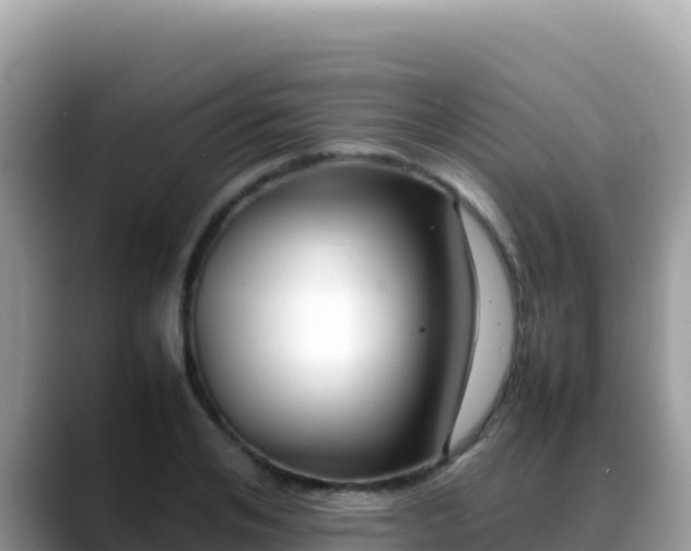 X0000088720984200706071616
