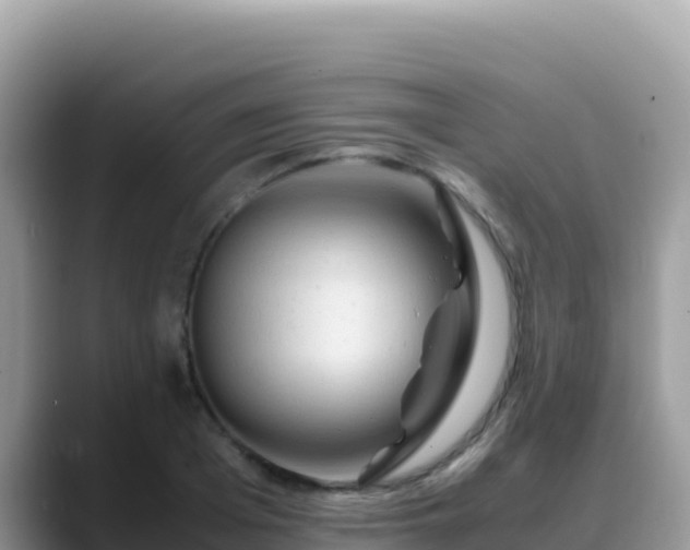 X0000088720985200706071616
