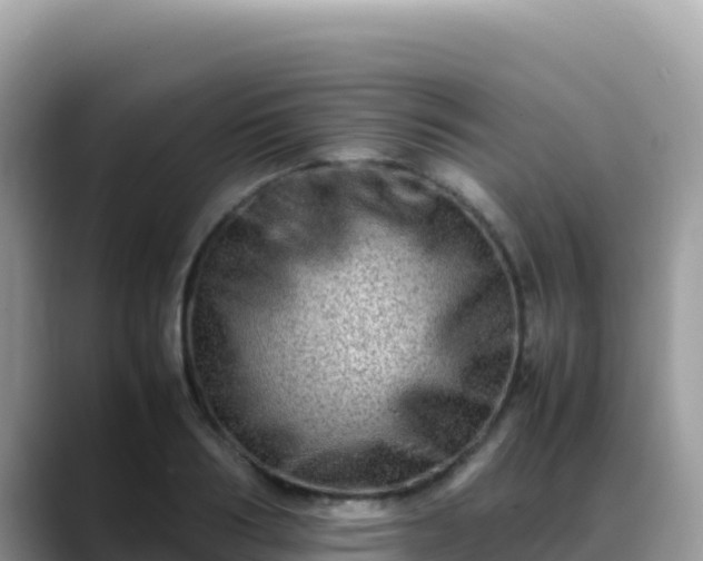 X0000088720986200706071616