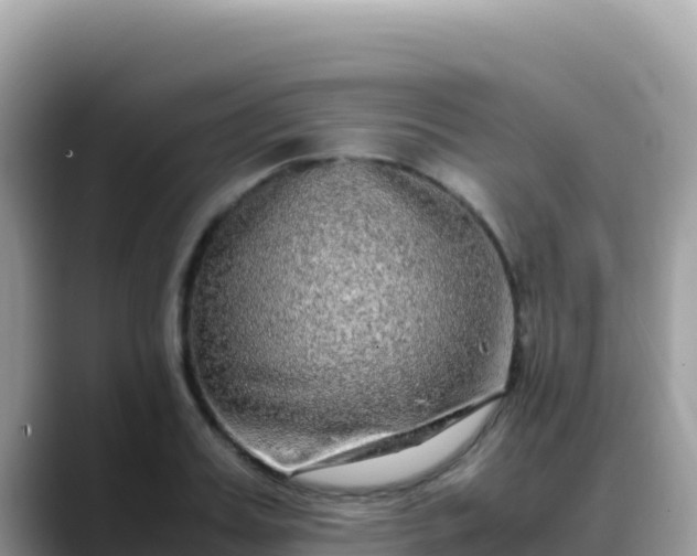 X0000088720987200706071616