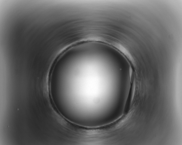 X0000088720988200706071616
